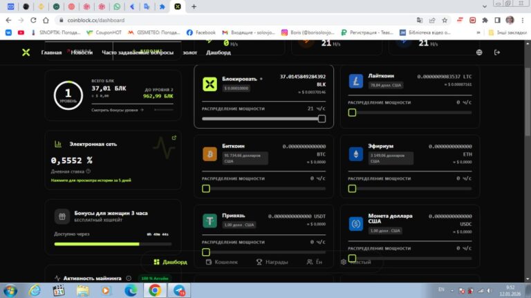 Майнинг BLK для Новичков: Полное Руководство + Вывод Средств